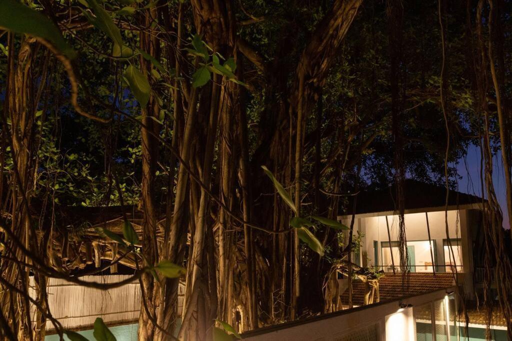 White Banyan Beach Villa, Candolim By The Acacia Villas Exterior photo